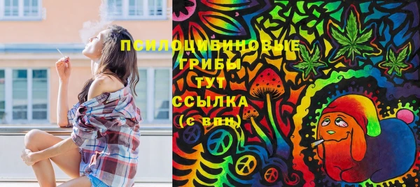 ешки Алексин